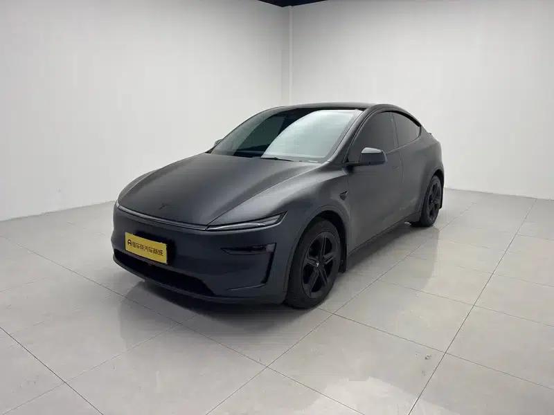 Model Y 2025 Long Range All-Wheel Drive — миниатюра 1