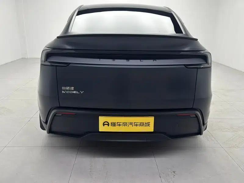 Model Y 2025 Long Range All-Wheel Drive — миниатюра 6