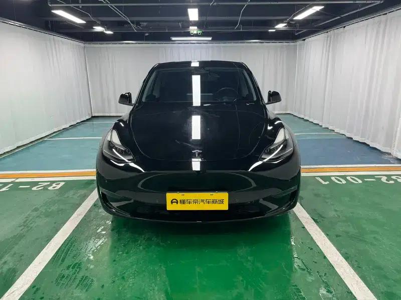 Model Y 2022 Long Range All-Wheel Drive — миниатюра 2