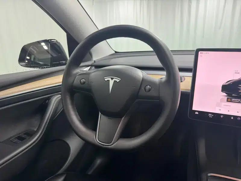 Model Y 2022 Long Range All-Wheel Drive — миниатюра 16