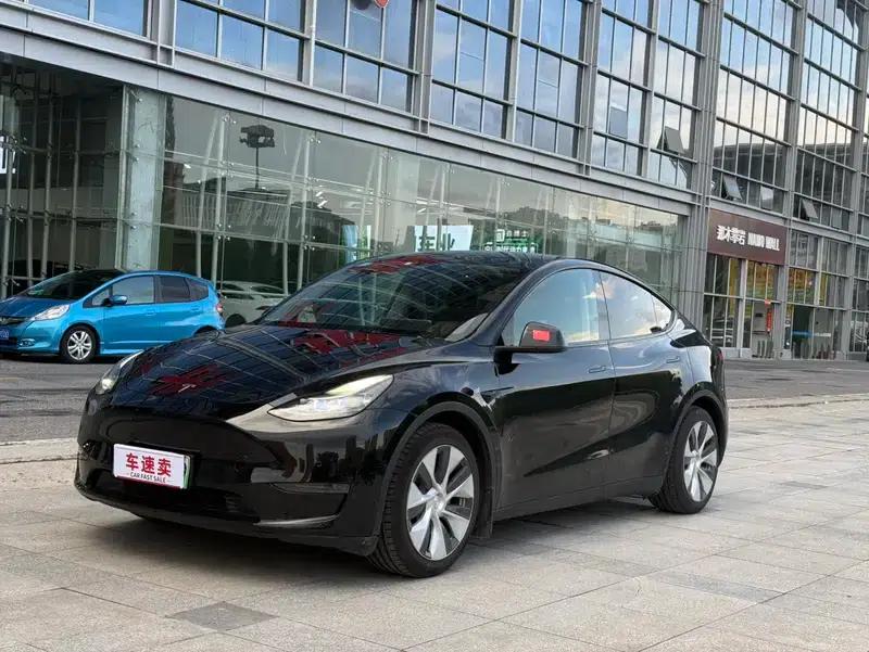 Model Y 2021 Standard Range Rear-Wheel Drive — миниатюра 1