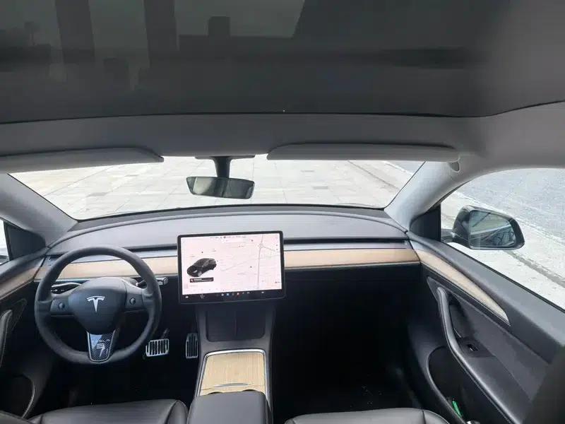 Model Y 2021 Standard Range Rear-Wheel Drive — миниатюра 8