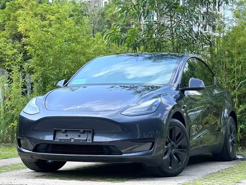 Model Y 2024 Rear-Wheel Drive — миниатюра 1