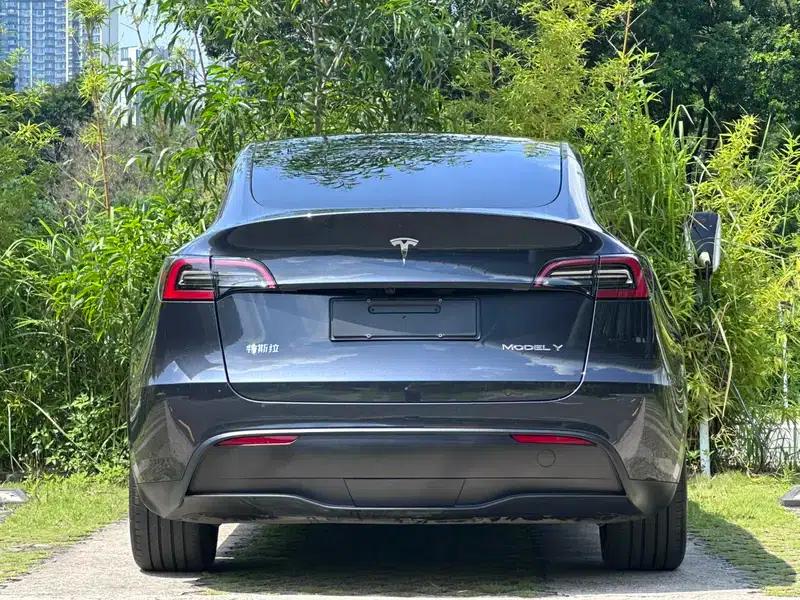 Model Y 2024 Rear-Wheel Drive — миниатюра 6