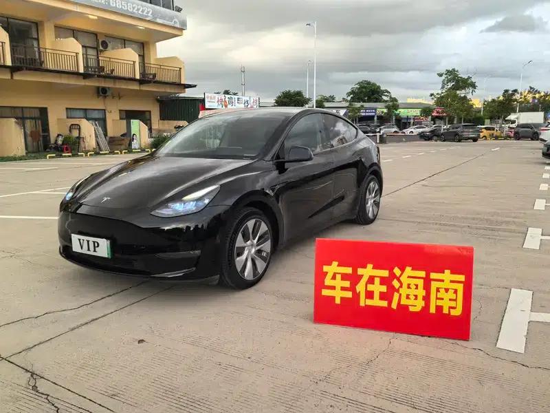 Model Y 2021 Standard Range Rear-Wheel Drive — миниатюра 1