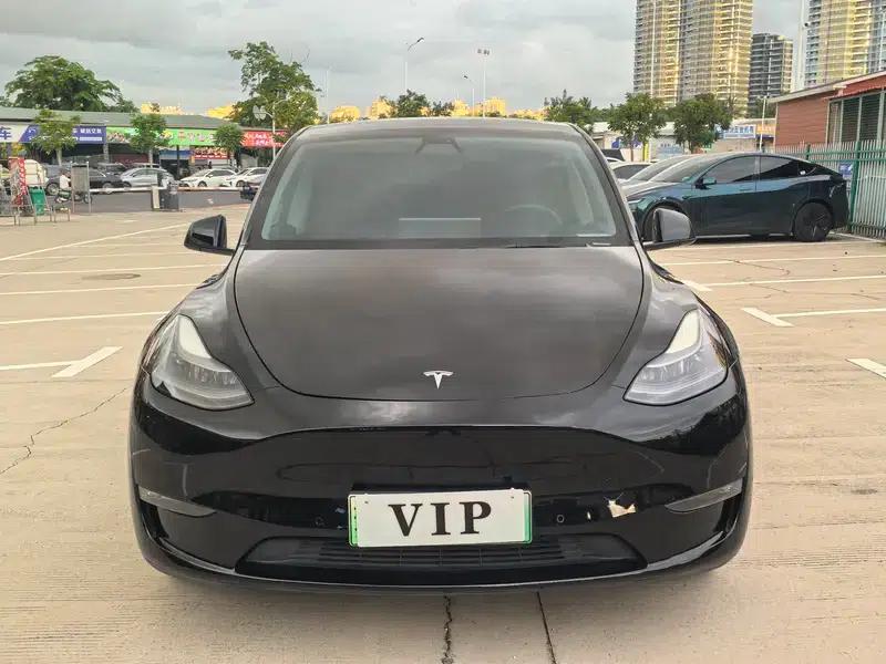 Model Y 2021 Standard Range Rear-Wheel Drive — миниатюра 2