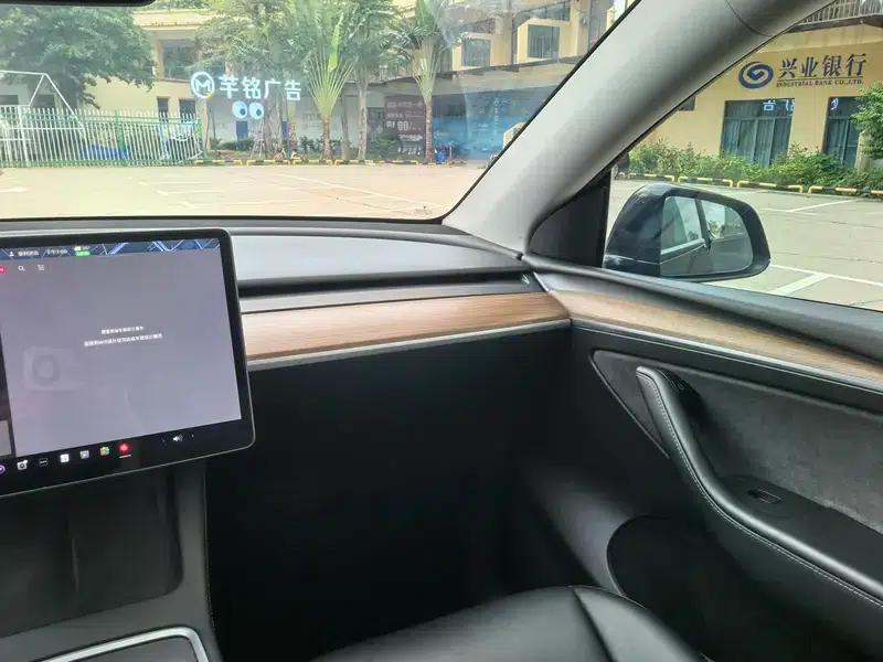 Model Y 2021 Standard Range Rear-Wheel Drive — миниатюра 13