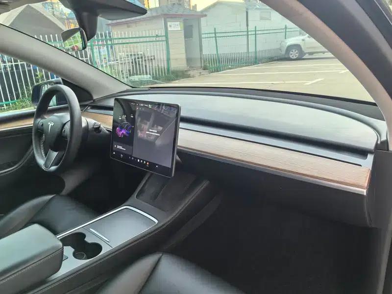 Model Y 2021 Standard Range Rear-Wheel Drive — миниатюра 16