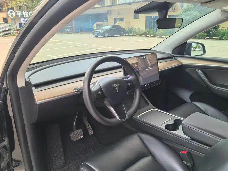Model Y 2021 Standard Range Rear-Wheel Drive — миниатюра 20