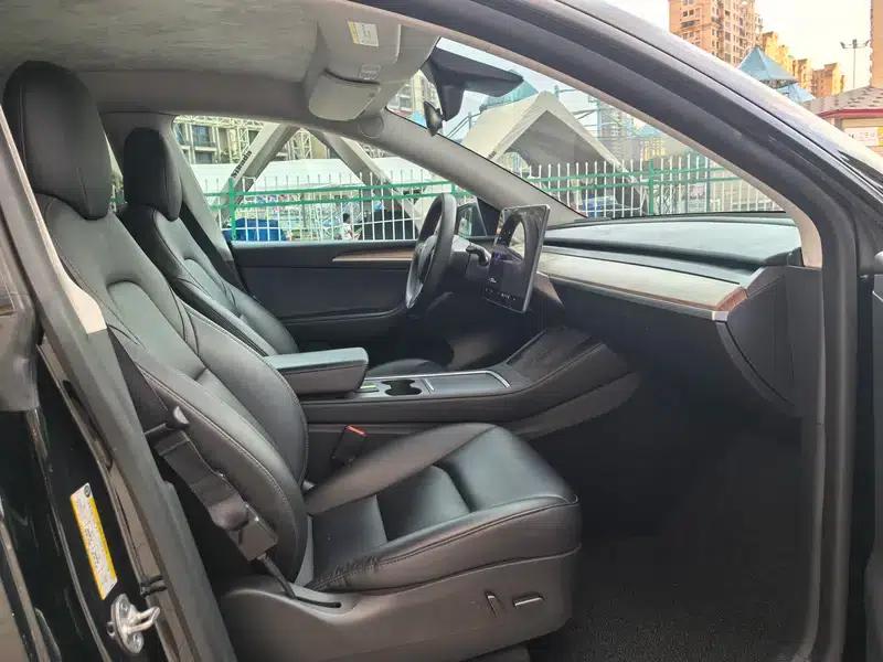 Model Y 2021 Standard Range Rear-Wheel Drive — миниатюра 29