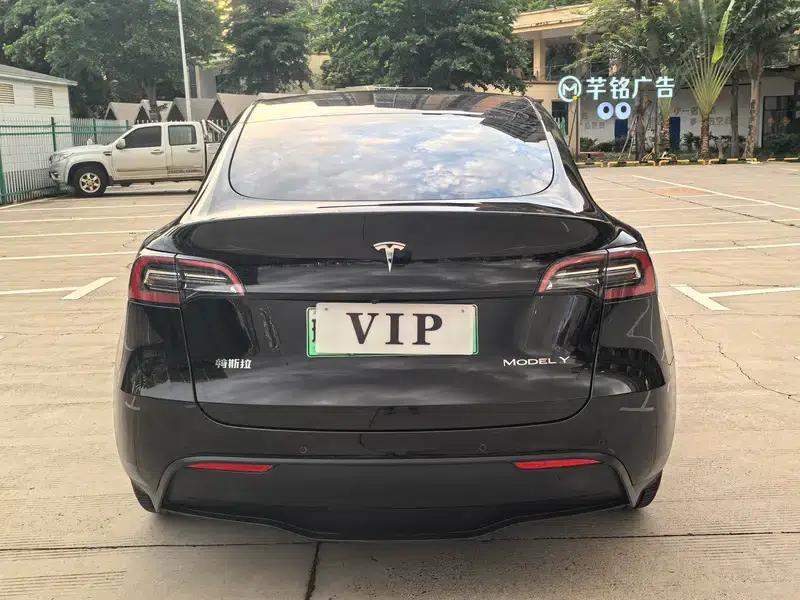 Model Y 2021 Standard Range Rear-Wheel Drive — миниатюра 5