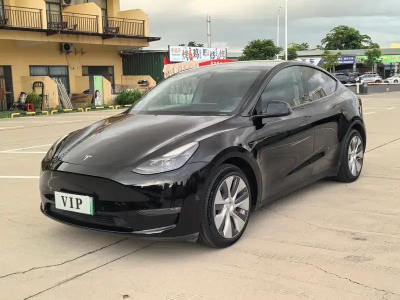 Model Y 2021 Standard Range Rear-Wheel Drive — миниатюра 9