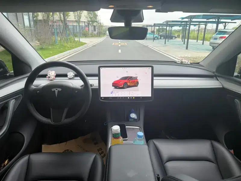Model Y 2024 Rear-Wheel Drive — миниатюра 7