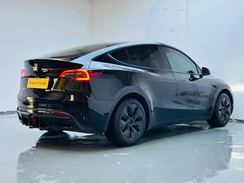 Model Y 2023 Rear-Wheel Drive — миниатюра 7