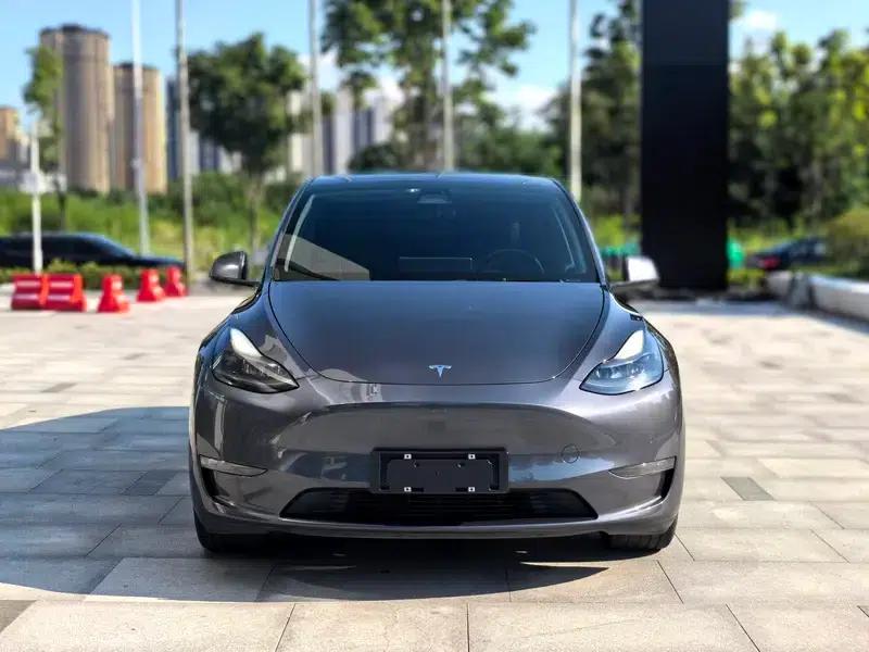 Model Y 2021 Long Range All-Wheel Drive — миниатюра 2