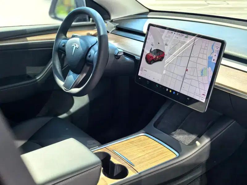 Model Y 2021 Long Range All-Wheel Drive — миниатюра 19