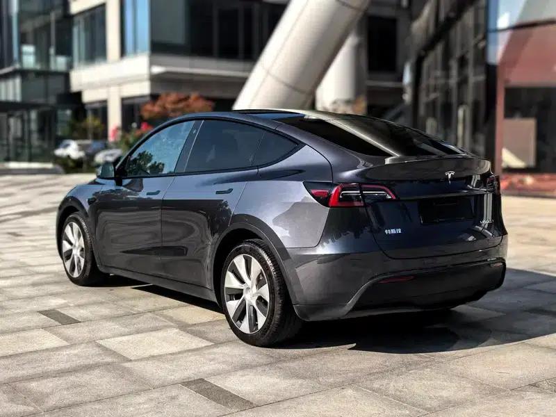 Model Y 2021 Long Range All-Wheel Drive — миниатюра 5