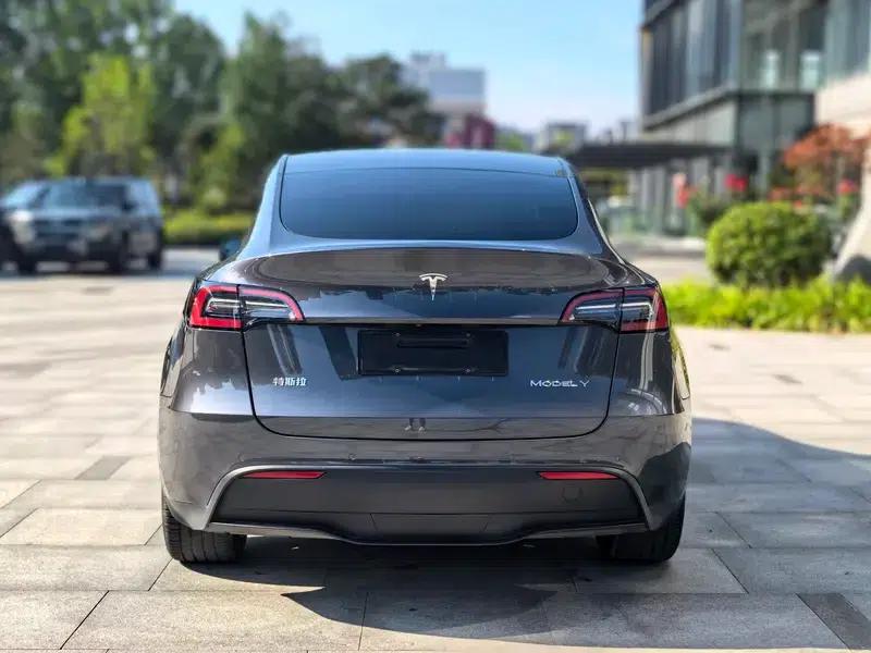 Model Y 2021 Long Range All-Wheel Drive — миниатюра 6