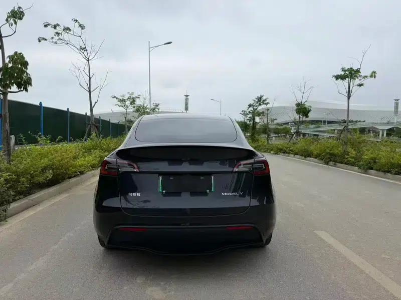 Model Y 2024 Rear-Wheel Drive — миниатюра 4