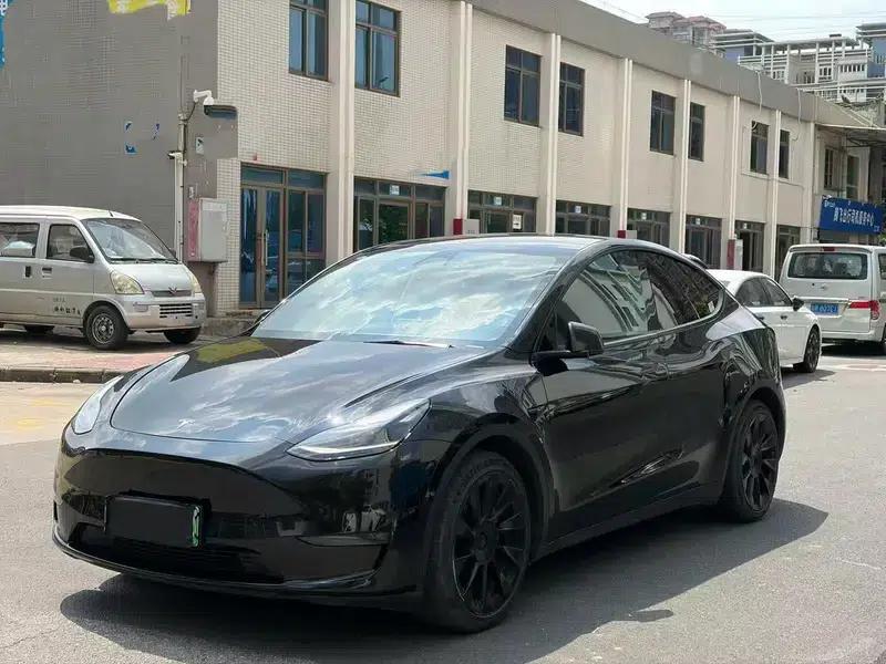 Model Y 2021 Standard Range Rear-Wheel Drive — миниатюра 1