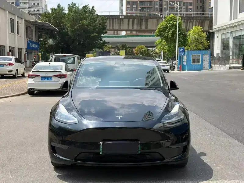 Model Y 2021 Standard Range Rear-Wheel Drive — миниатюра 2