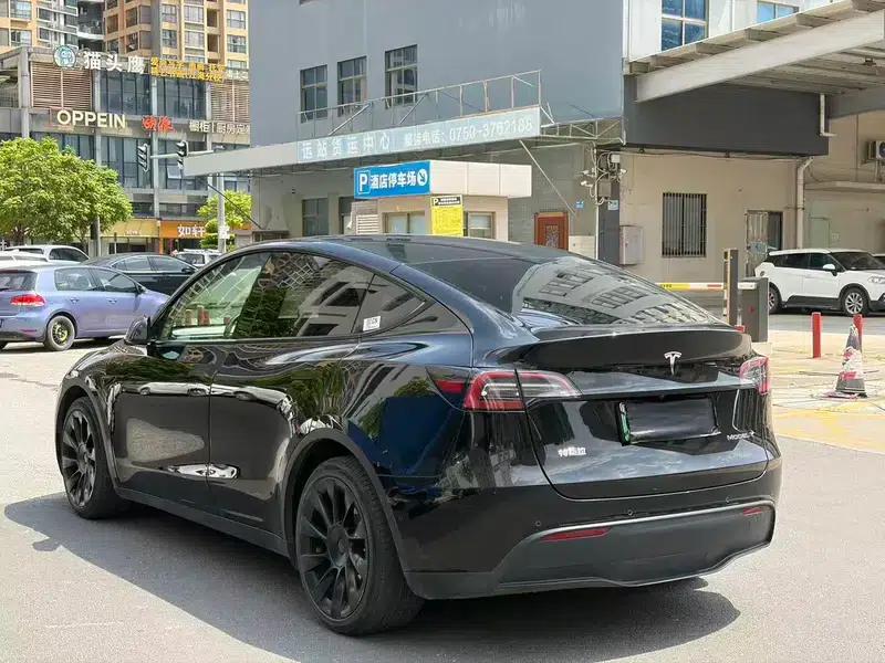 Model Y 2021 Standard Range Rear-Wheel Drive — миниатюра 4