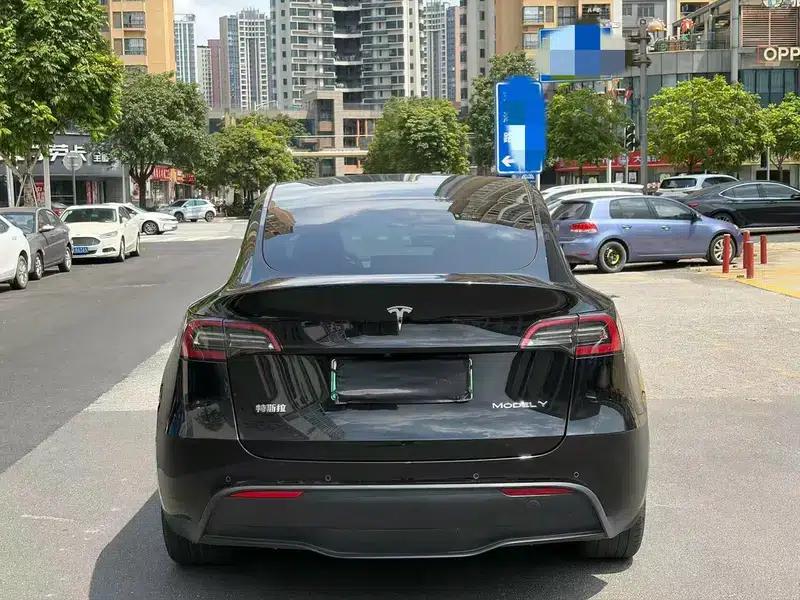 Model Y 2021 Standard Range Rear-Wheel Drive — миниатюра 5