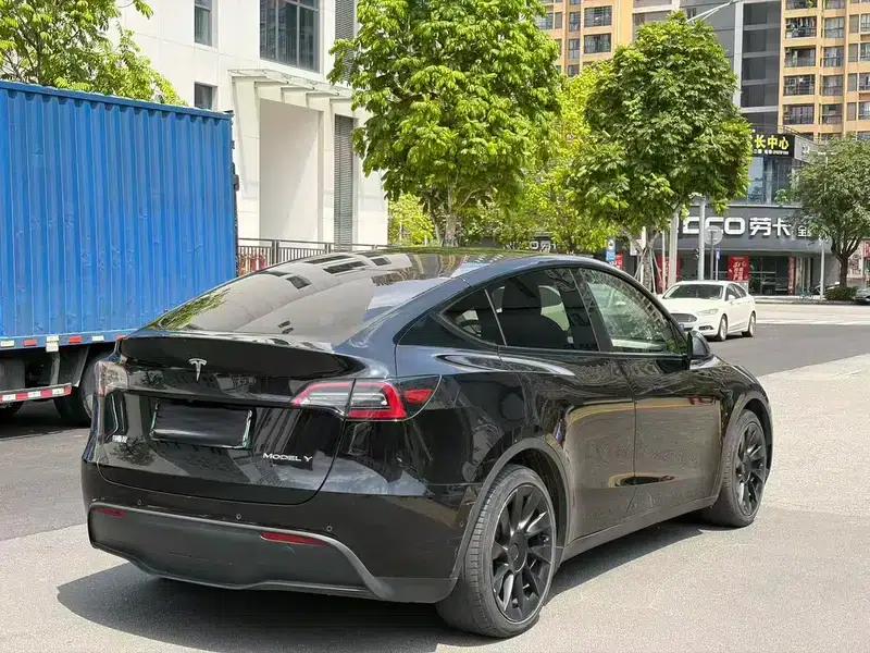 Model Y 2021 Standard Range Rear-Wheel Drive — миниатюра 6