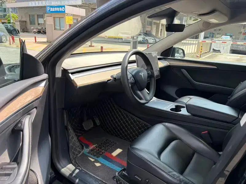 Model Y 2021 Standard Range Rear-Wheel Drive — миниатюра 8