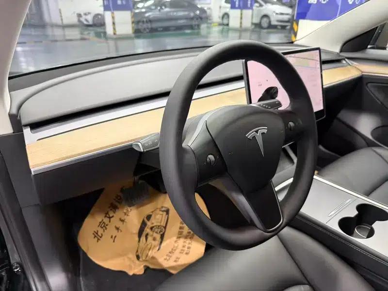 Model 3 2021 Standard Range Rear-Wheel Drive Upgrade — миниатюра 12