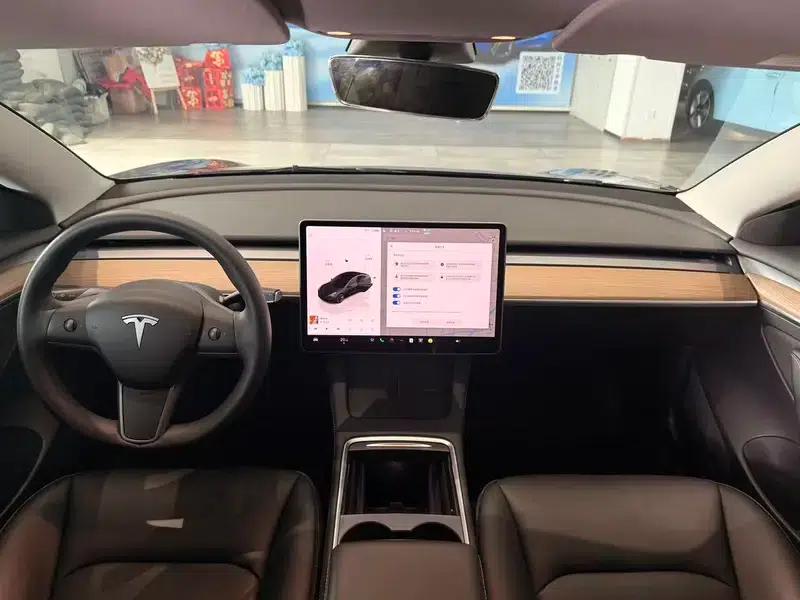 Model 3 2022 Rear-Wheel Drive — миниатюра 7