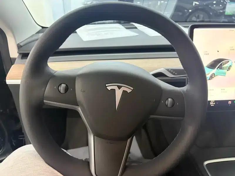 Model 3 2021 Standard Range Rear-Wheel Drive Upgrade — миниатюра 9