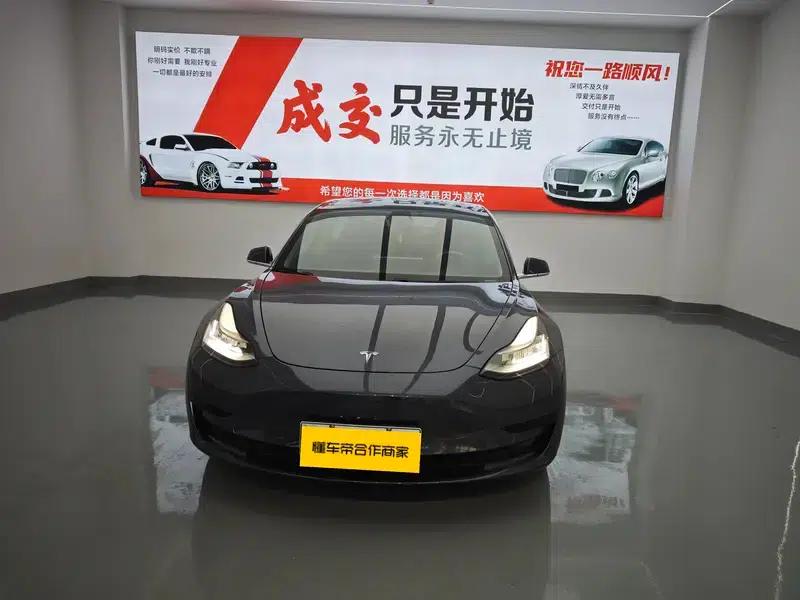 Model 3 2019 Standard Range Rear-Wheel Drive Upgrade — миниатюра 2