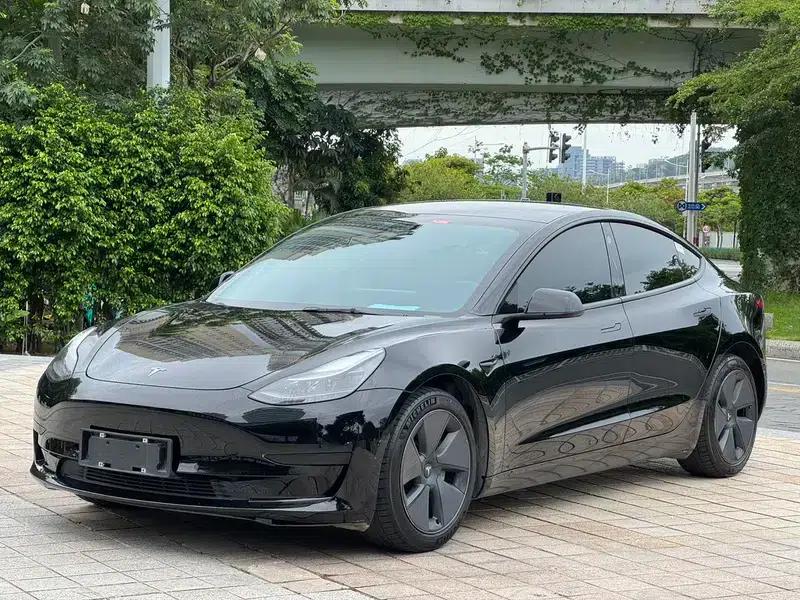 Model 3 2021 Standard Range Rear-Wheel Drive Upgrade — миниатюра 1