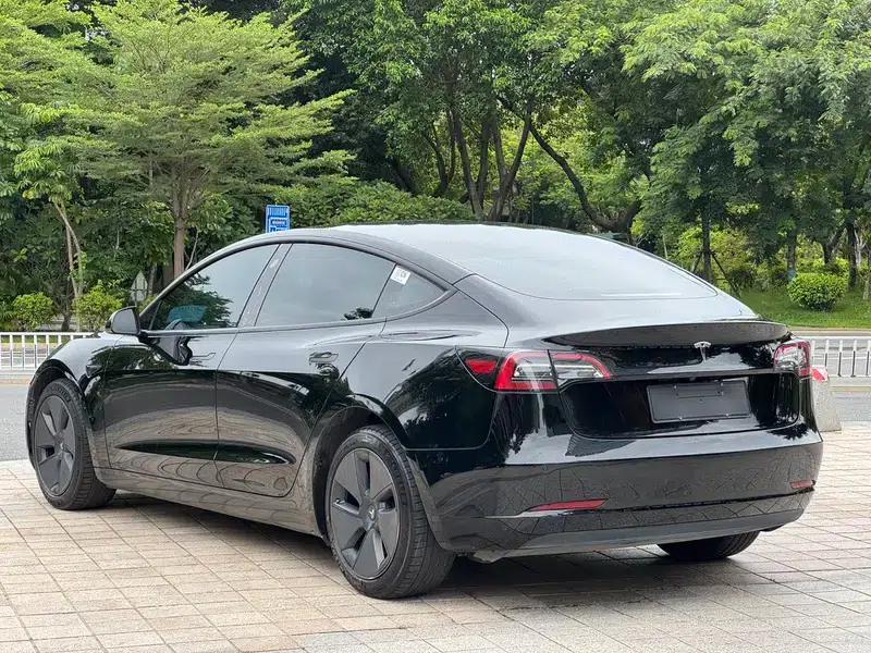 Model 3 2021 Standard Range Rear-Wheel Drive Upgrade — миниатюра 4