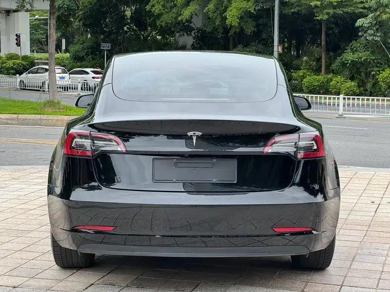 Model 3 2021 Standard Range Rear-Wheel Drive Upgrade — миниатюра 5