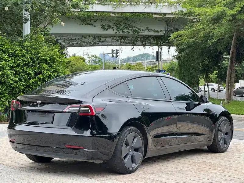 Model 3 2021 Standard Range Rear-Wheel Drive Upgrade — миниатюра 6