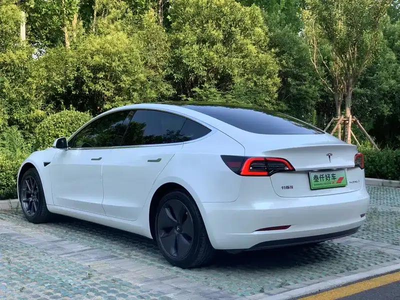 Model 3 2019 Standard Range Rear-Wheel Drive Upgrade — миниатюра 4