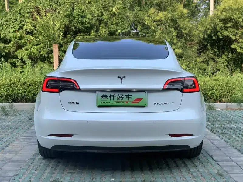 Model 3 2019 Standard Range Rear-Wheel Drive Upgrade — миниатюра 5