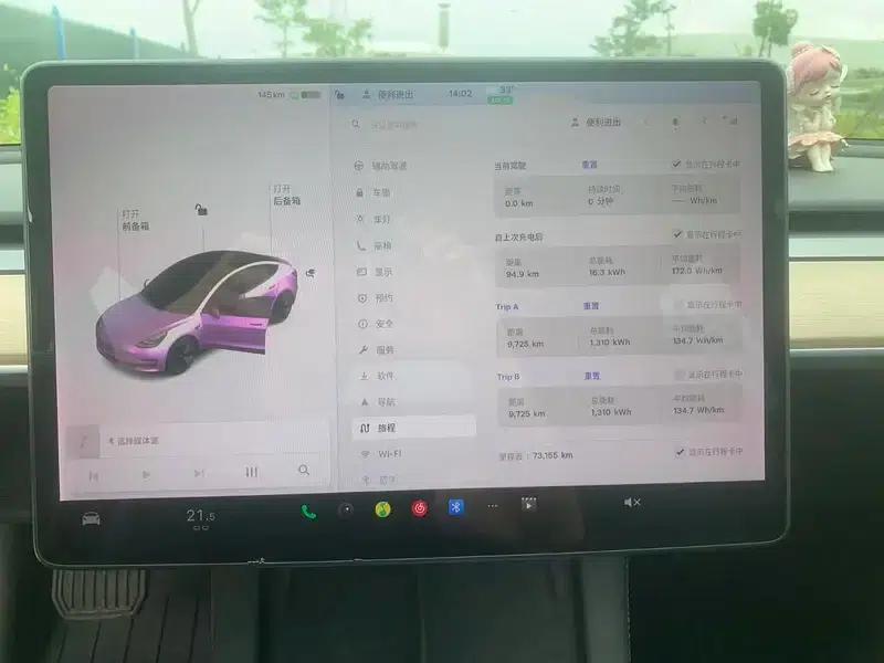 Model 3 2021 Standard Range Rear-Wheel Drive Upgrade — миниатюра 7