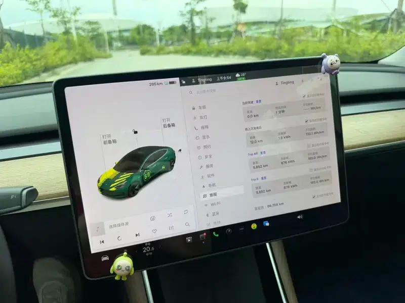 Model 3 2020 Standard Range Rear-Wheel Drive Upgrade — миниатюра 6