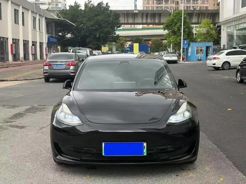 Model 3 2021 Standard Range Rear-Wheel Drive Upgrade — миниатюра 2