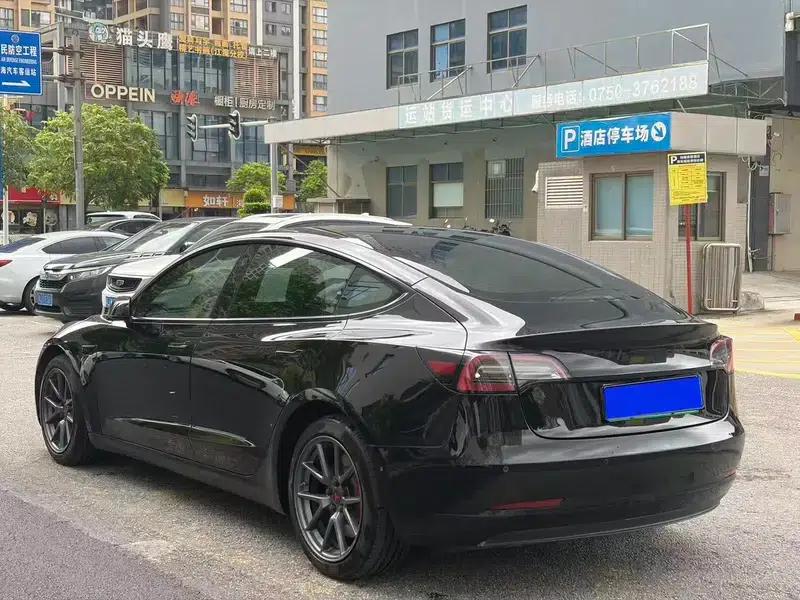 Model 3 2021 Standard Range Rear-Wheel Drive Upgrade — миниатюра 4