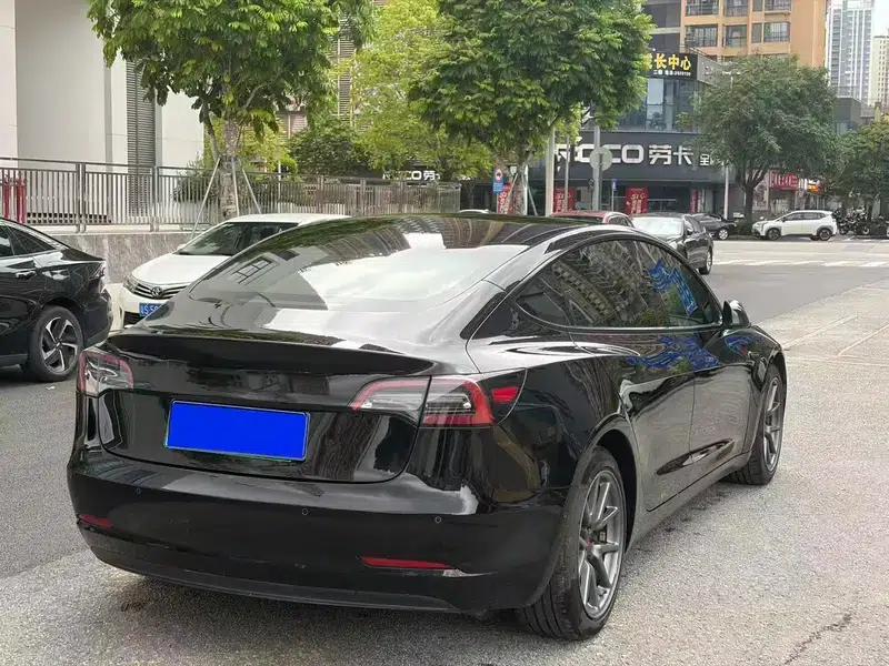Model 3 2021 Standard Range Rear-Wheel Drive Upgrade — миниатюра 6