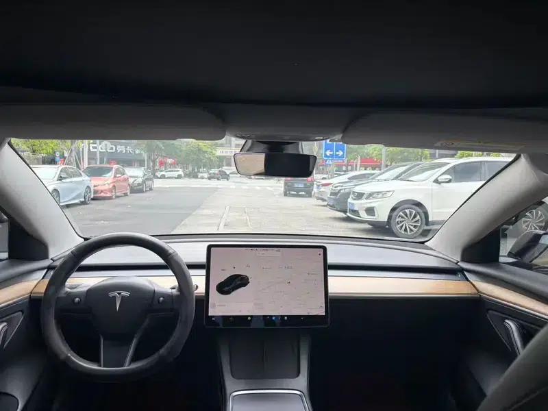 Model 3 2021 Standard Range Rear-Wheel Drive Upgrade — миниатюра 7