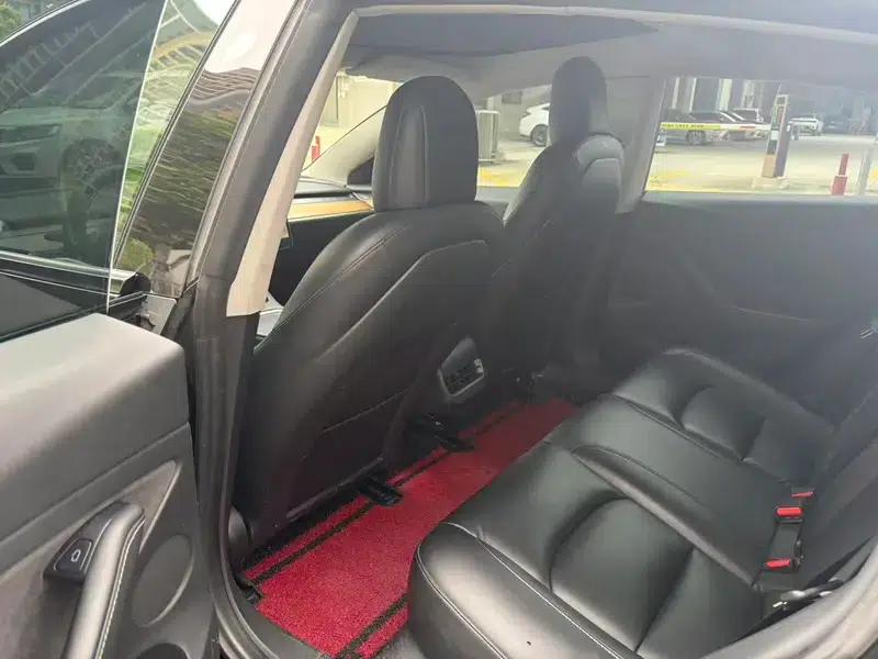 Model 3 2021 Standard Range Rear-Wheel Drive Upgrade — миниатюра 9