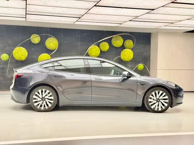 Model 3 2023 Rear-Wheel Drive — миниатюра 6
