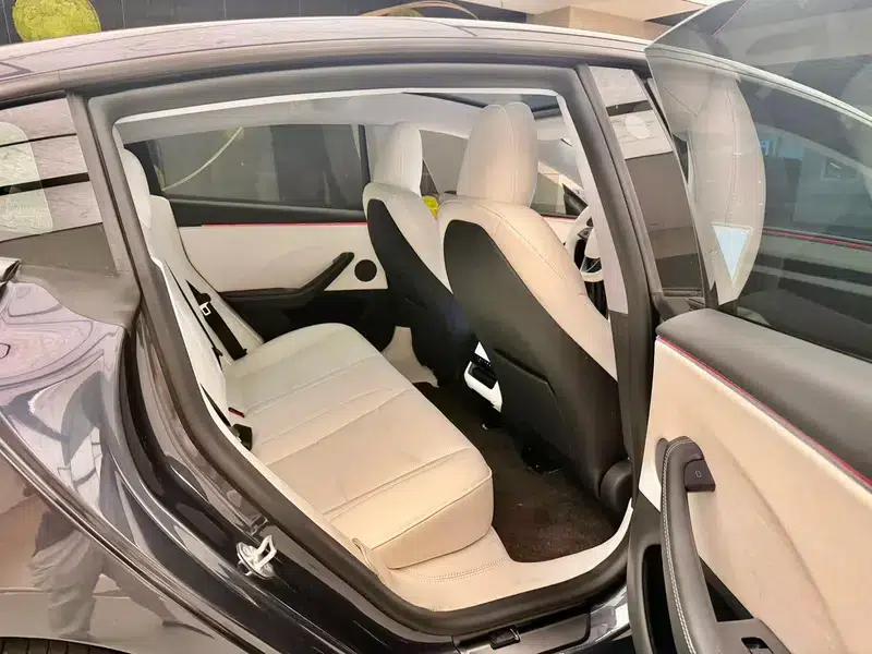Model 3 2023 Rear-Wheel Drive — миниатюра 10