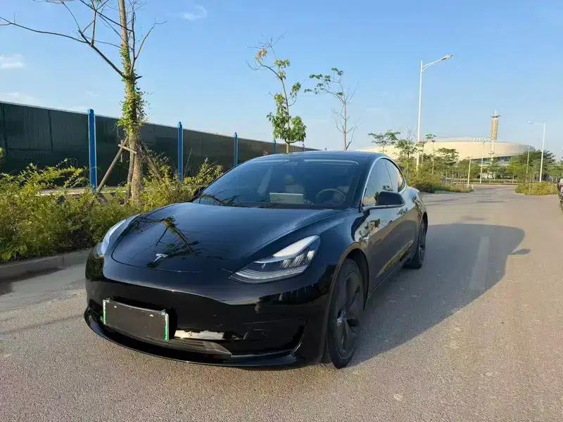 Model 3 2020 Standard Range Rear-Wheel Drive Upgrade — миниатюра 1