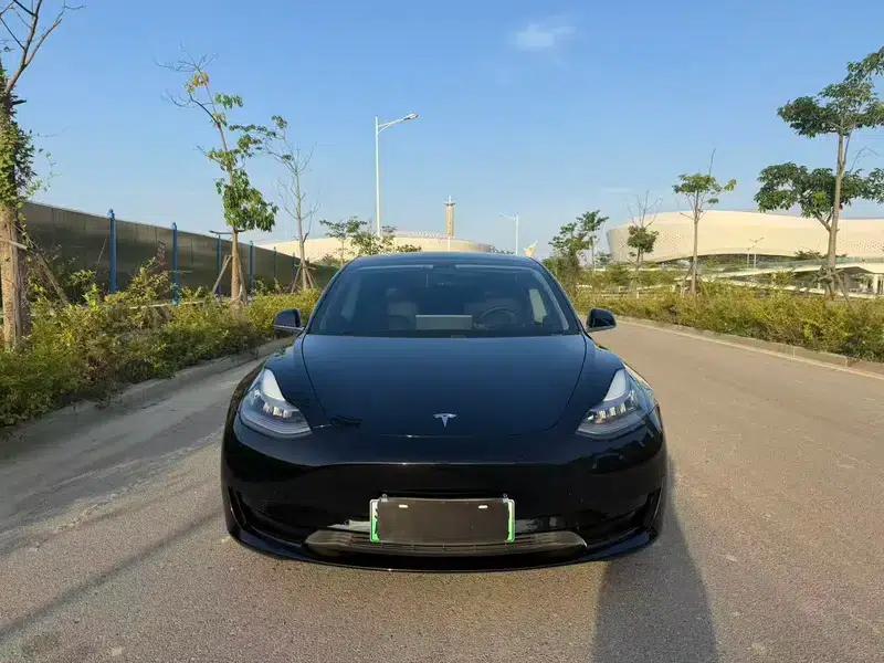 Model 3 2020 Standard Range Rear-Wheel Drive Upgrade — миниатюра 2